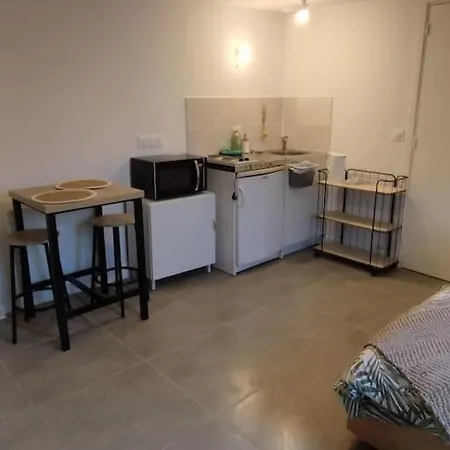 Charmant Studio Bien Situe Appartamento